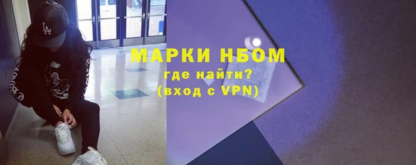 твердый Арсеньев