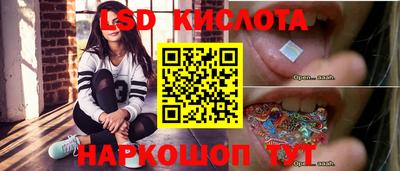 гидра Будённовск
