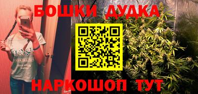 гидра Будённовск
