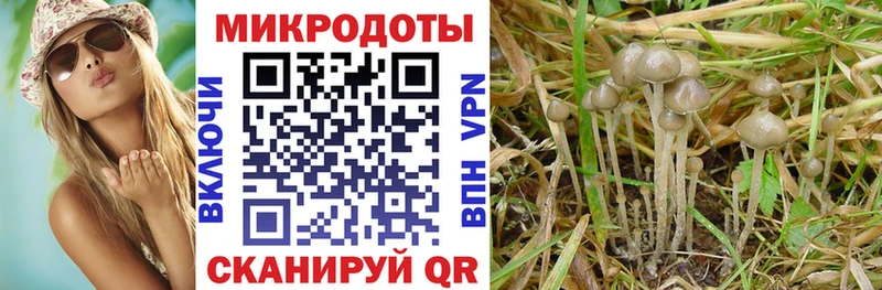 где купить Нурлат Псилоцибиновые грибы MAGIC MUSHROOMS