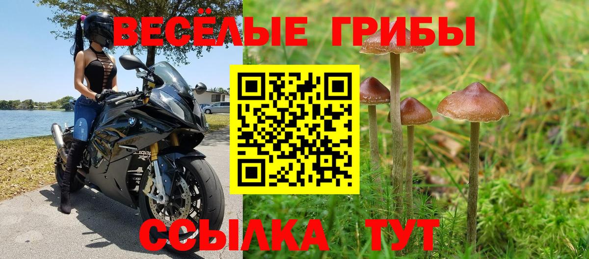 Галлюциногенные грибы MAGIC MUSHROOMS Нурлат