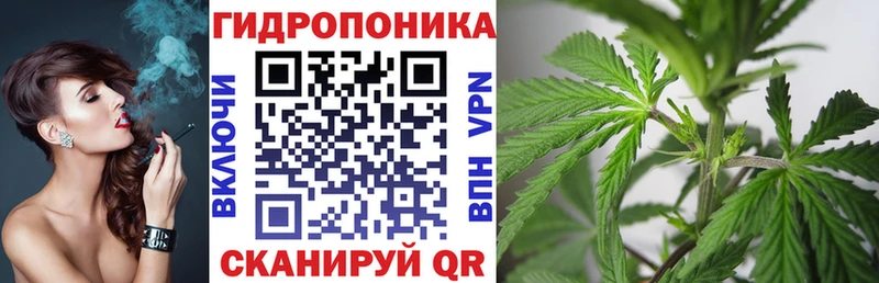 Бошки марихуана OG Kush Нурлат