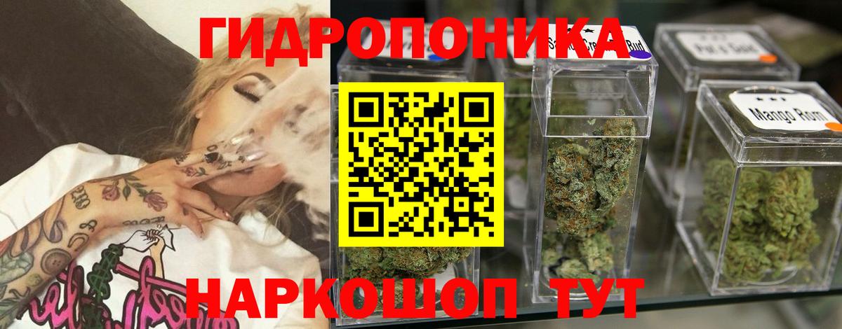 МАРИХУАНА сатива Нурлат